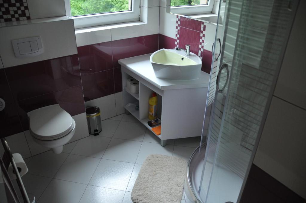Willa Stenia Center Apartamenty Wisla Room photo